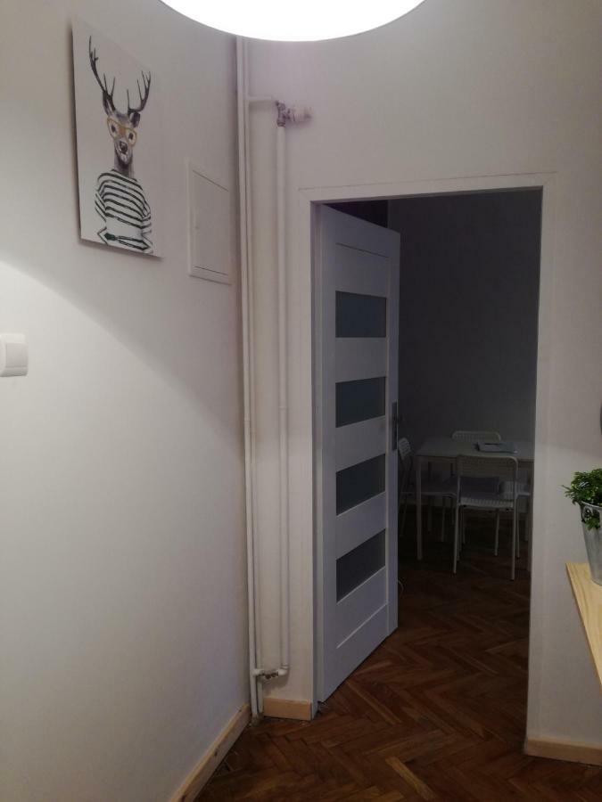 Apartament Apartament Rydla 20 Kraków Zewnętrze zdjęcie